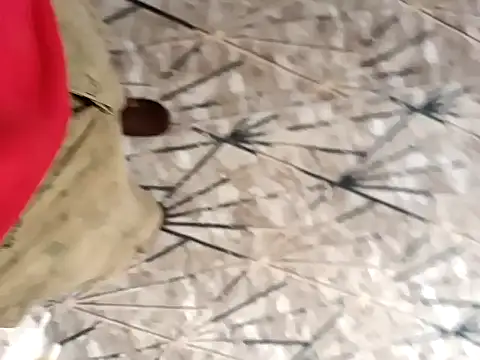 sokrates13 online show from January 21, 7:15 am