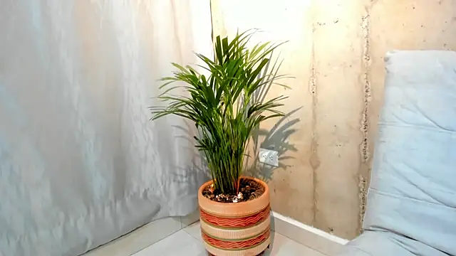 Alan greek 1 online show from January 31, 1:33 am