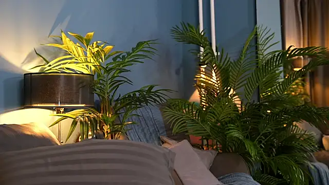  keeti  online show from October 10, 6:01 am