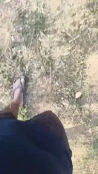 lustboyX online show from April 3, 2:31 am