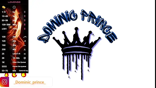 DominicPrince online show from October 30, 12:23 am