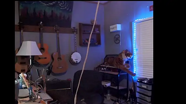 itsjameswebbscope online show from May 18, 5:24 am