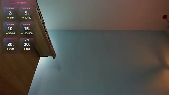 Snapshot of EVAGRECO chatting on November 26, 2:34 am EVAGRECO online show from November 26, 2:34 am