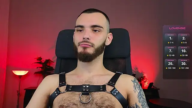 xteddy bear online show from January 17, 8:33 pm