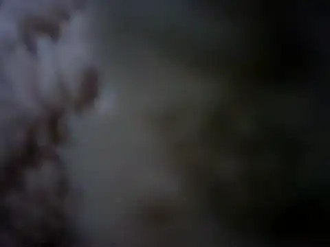 07YUKIO online show from January 24, 10:08 pm