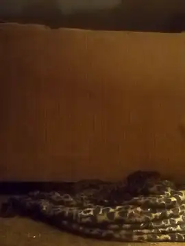 Snapshot of luke_thighwalker2469 chatting on February 8, 1:11 pm luke thighwalker2469 online show from February 8, 1:11 pm