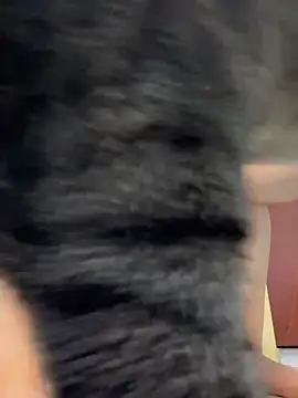 Barbielatinas online show from February 14, 4:31 am