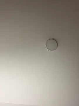 Freya Artemisa online show from March 22, 8:40 am