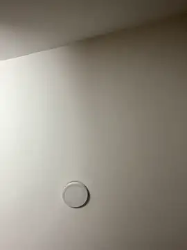 Freya Artemisa online show from February 13, 8:38 pm