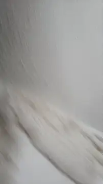 Siriss boyrag online show from November 22, 8:52 pm