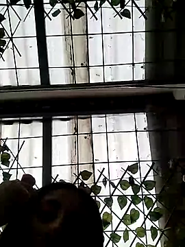 Snapshot of ailyn_miranda chatting on March 15, 6:21 pm ailyn miranda online show from March 15, 6:21 pm