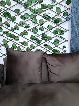 Bold-Cat online show from December 5, 11:07 pm