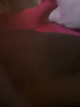 Fjome online show from November 15, 8:00 am