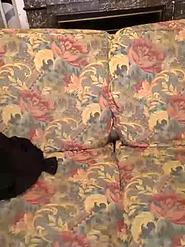 Snapshot of LadyRochester chatting on January 18, 2:14 am LadyRochester online show from January 18, 2:14 am