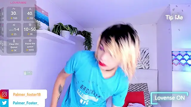 Palmer-Foster online show from February 26, 9:05 pm