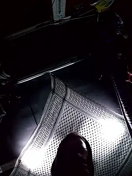 Snapshot of TRebelG chatting on January 6, 11:07 pm TRebelG online show from January 6, 11:07 pm