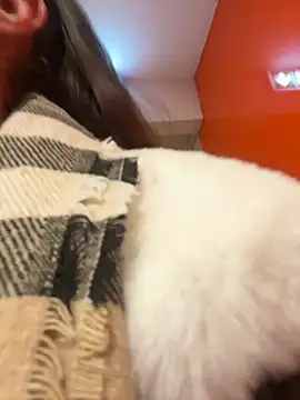 beautydiamond online show from January 20, 10:51 am