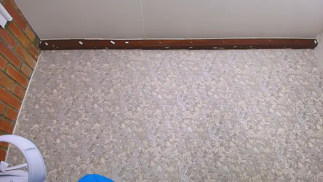 nicol f online show from January 12, 7:10 pm