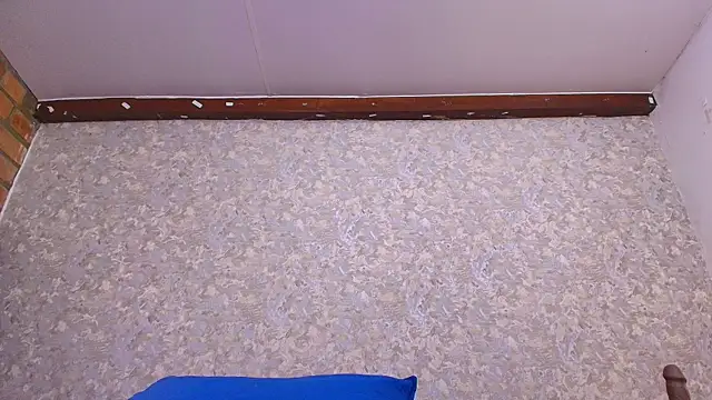 nicol f online show from January 13, 7:21 pm