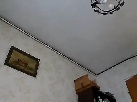 mariusica1xh online show from November 1, 11:45 am