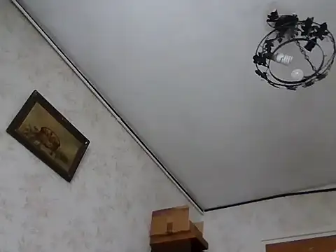 mariusica1xh online show from November 21, 11:09 am