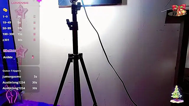 nicol gill  online show from December 21, 2:26 pm