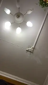 Snapshot of shuai321 chatting on December 15, 1:43 pm shuai321 online show from December 15, 1:43 pm