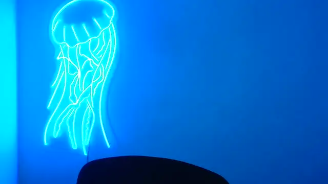 Snapshot of Fantasy_July chatting on March 17, 9:33 am Fantasy July online show from March 17, 9:33 am