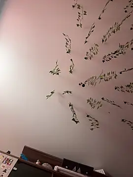 -Sexy Barbie- online show from February 26, 3:42 am