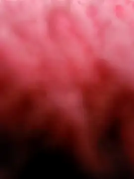 eric69 69 online show from March 5, 3:29 pm