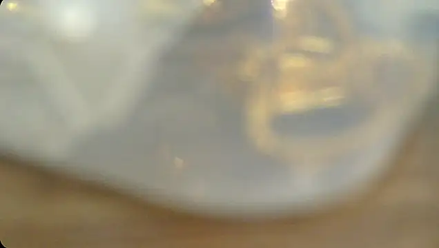 Snapshot of Rashisharma chatting on October 14, 12:06 pm Rashisharma online show from October 14, 12:06 pm