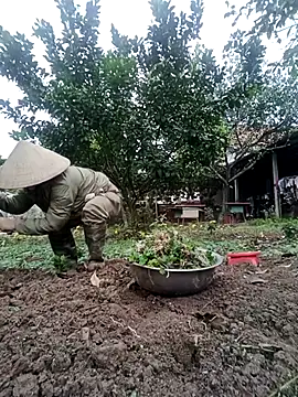 Snapshot of Fuckmehard2xx chatting on February 23, 2:51 am Fuckmehard2xx online show from February 23, 2:51 am