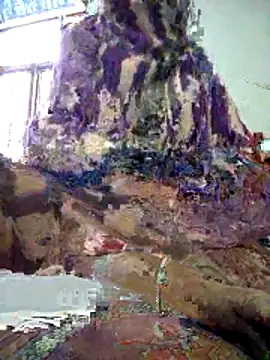 FeltedEuropium online show from December 18, 8:09 am