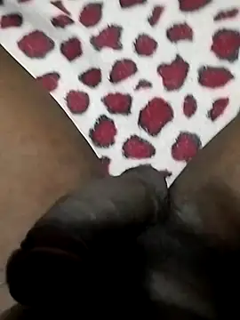 Snapshot of Pua009 chatting on February 26, 10:20 pm Pua009 online show from February 26, 10:20 pm