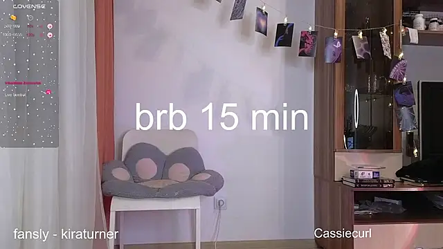 art phoenix online show from February 23, 7:49 pm