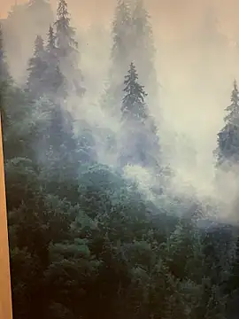 ladoucedu34 online show from January 12, 3:39 pm