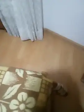 rush6983 online show from November 6, 1:28 am