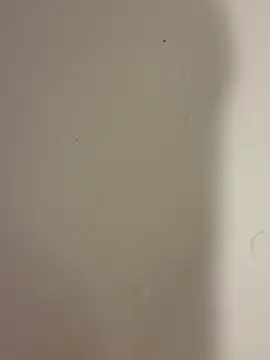 Serkan3356 online show from February 9, 12:31 pm