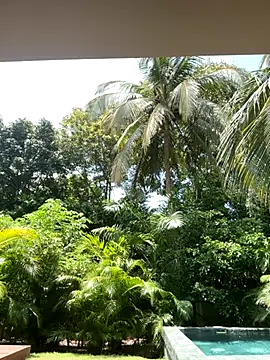 Snapshot of Olivia_Collins1 chatting on September 16, 4:52 pm Olivia Collins1 online show from September 16, 4:52 pm