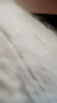 JAWHARA  online show from December 15, 8:04 pm