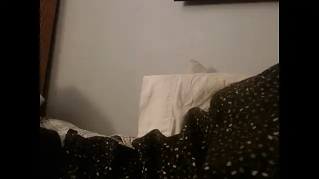 VanceFontaine online show from October 27, 11:25 am