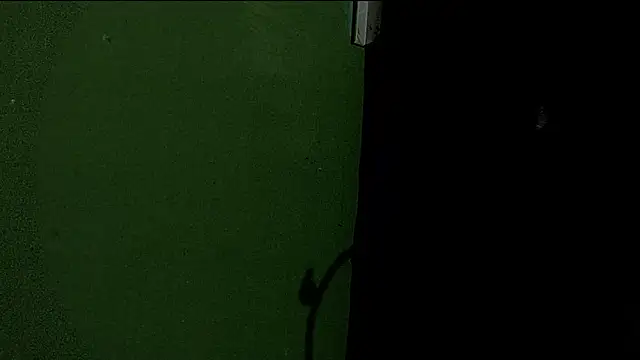 Snapshot of Deleon1995 chatting on January 2, 4:52 am Deleon1995 online show from January 2, 4:52 am