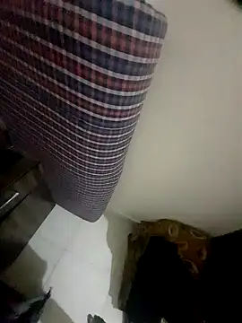 Snapshot of Nitya-Mahesh chatting on March 26, 2:00 pm Nitya-Mahesh online show from March 26, 2:00 pm