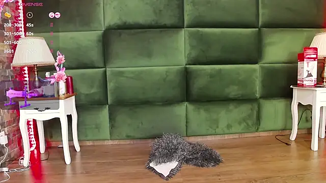 Snapshot of SelenSummer chatting on November 28, 8:00 pm SelenSummer online show from November 28, 8:00 pm