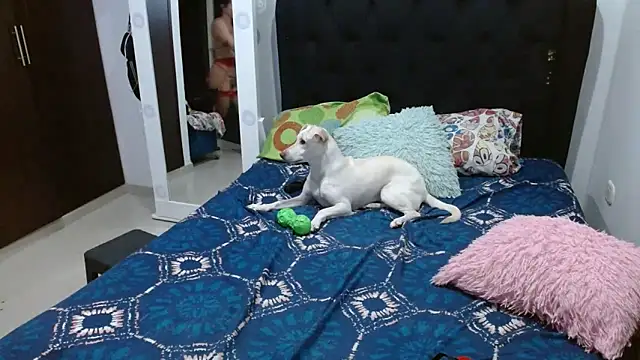 amazonafit  online show from February 15, 4:14 am