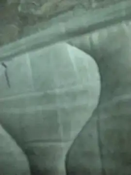 Snapshot of lm279 chatting on February 19, 8:20 pm lm279 online show from February 19, 8:20 pm