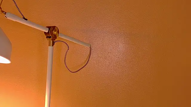 Snapshot of ParisFox_ chatting on December 20, 1:12 am ParisFox online show from December 20, 1:12 am