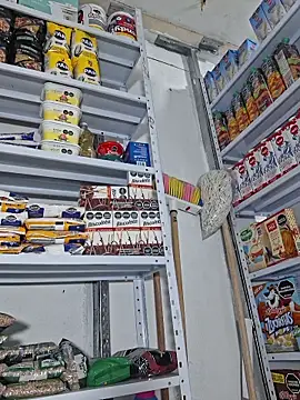 Katia sweetx online show from April 13, 1:38 pm