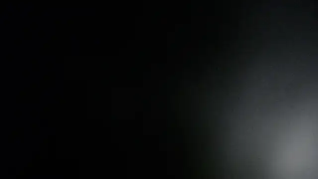 ViolethRammtein online show from January 27, 12:01 am