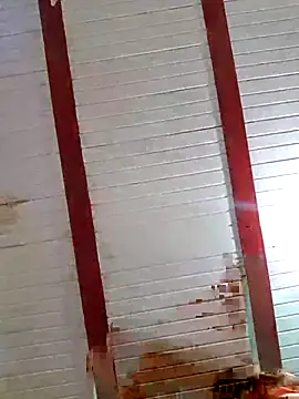 Zaralu  online show from October 8, 7:00 pm